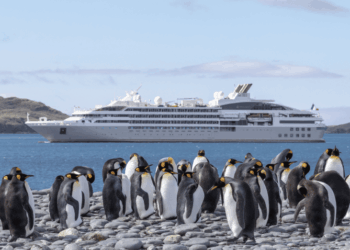 Abercrombie and Kent Antarctica Cruise: Learning Meets Luxury